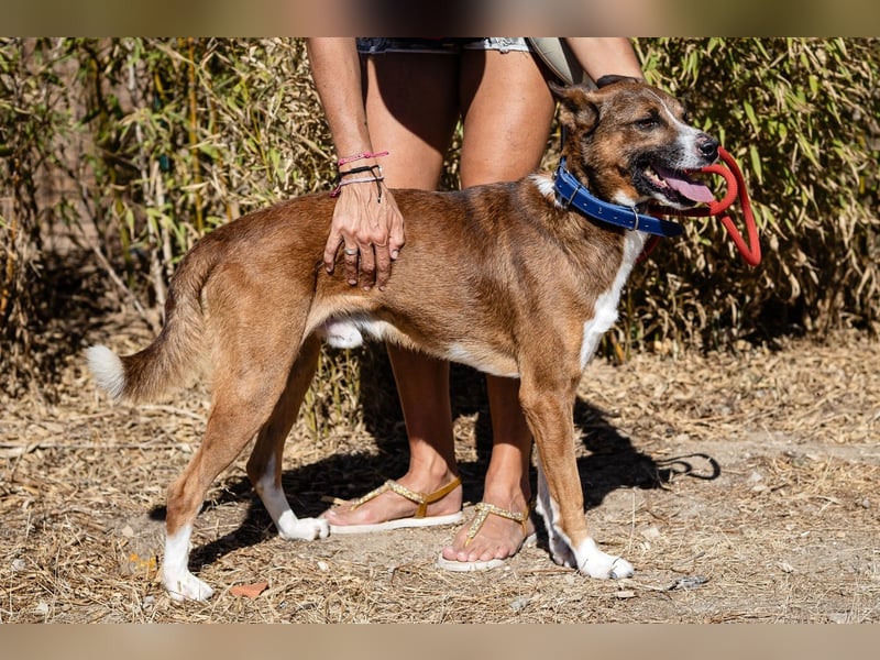 Cravo - Kennt das Leben im Haus