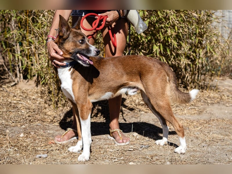 Cravo - Kennt das Leben im Haus