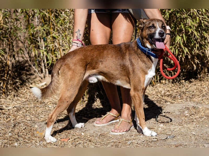 Cravo - Kennt das Leben im Haus