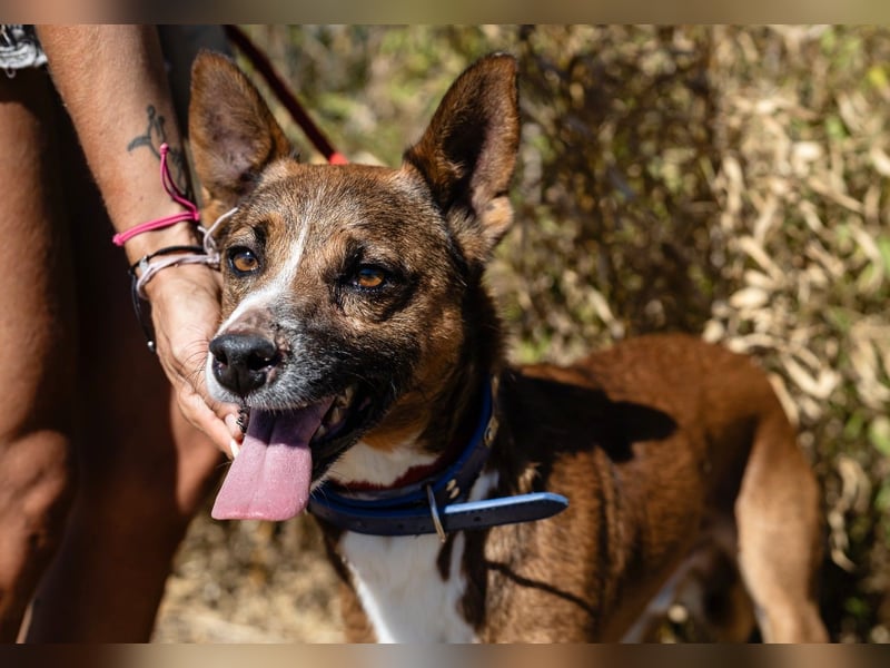 Cravo - Kennt das Leben im Haus