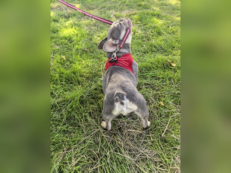 Barbala ein tolles Mädchen Barbala ein tolles Mädchen