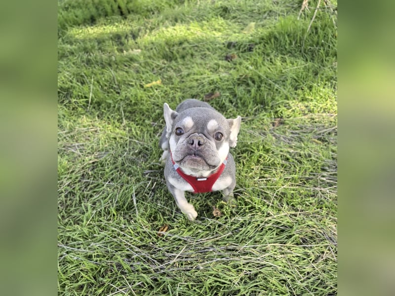 Barbala ein tolles Mädchen Barbala ein tolles Mädchen