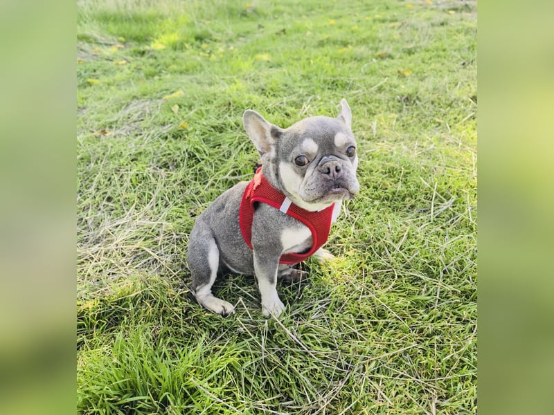 Barbala ein tolles Mädchen Barbala ein tolles Mädchen