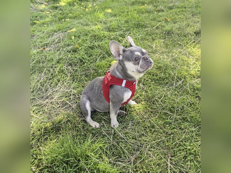 Barbala ein tolles Mädchen Barbala ein tolles Mädchen