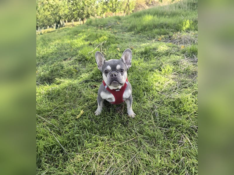 Barbala ein tolles Mädchen Barbala ein tolles Mädchen