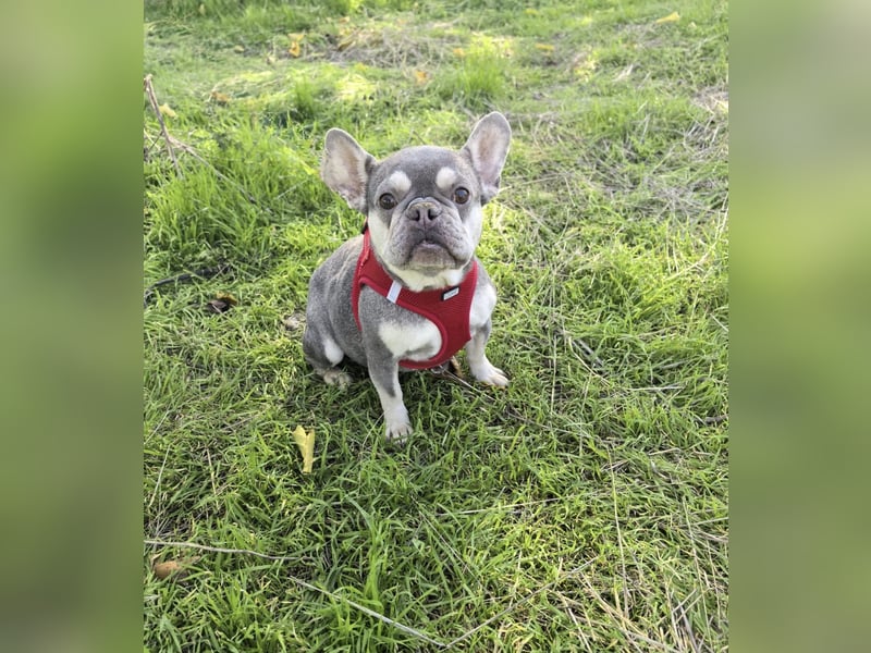 Barbala ein tolles Mädchen Barbala ein tolles Mädchen