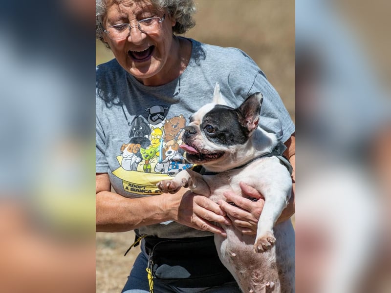 Balou – ein kleiner Clown