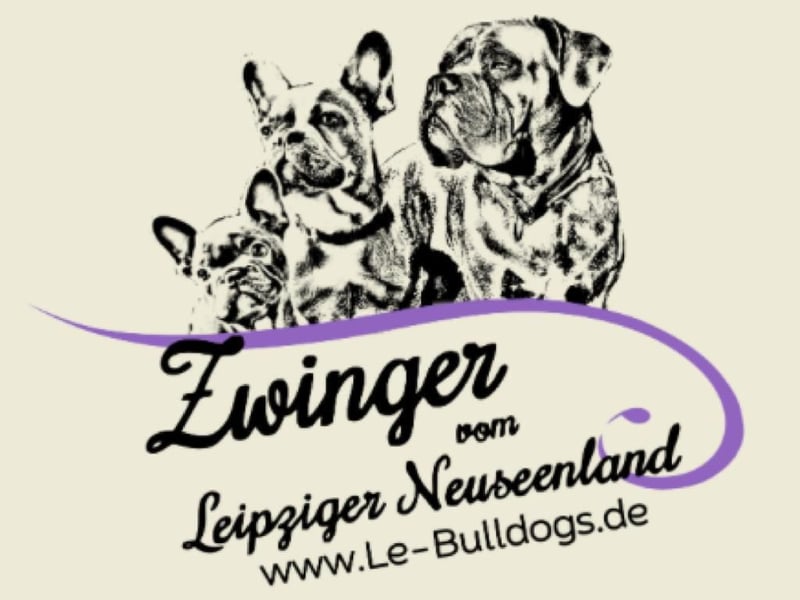 Sportliche und Gesunde Französische Bulldoggen aus seriöser Familienzucht.