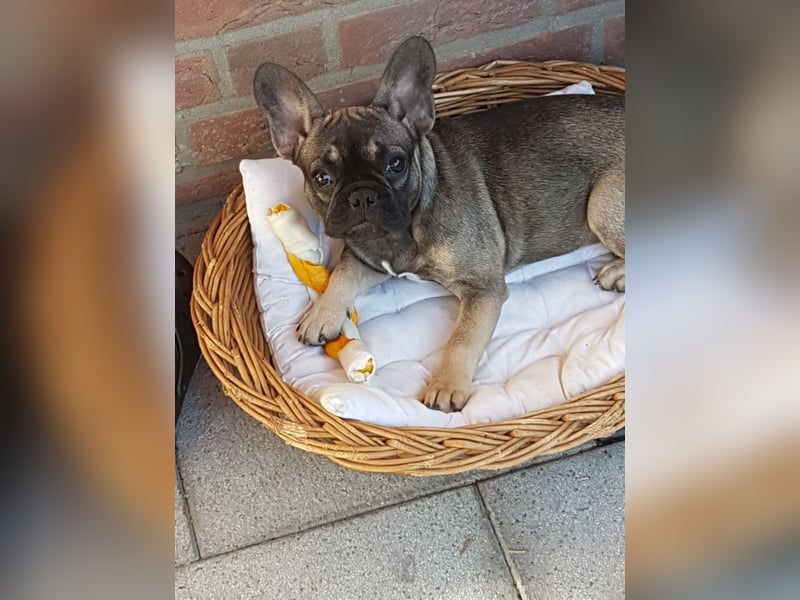 Liebevolles Zuhause gesucht