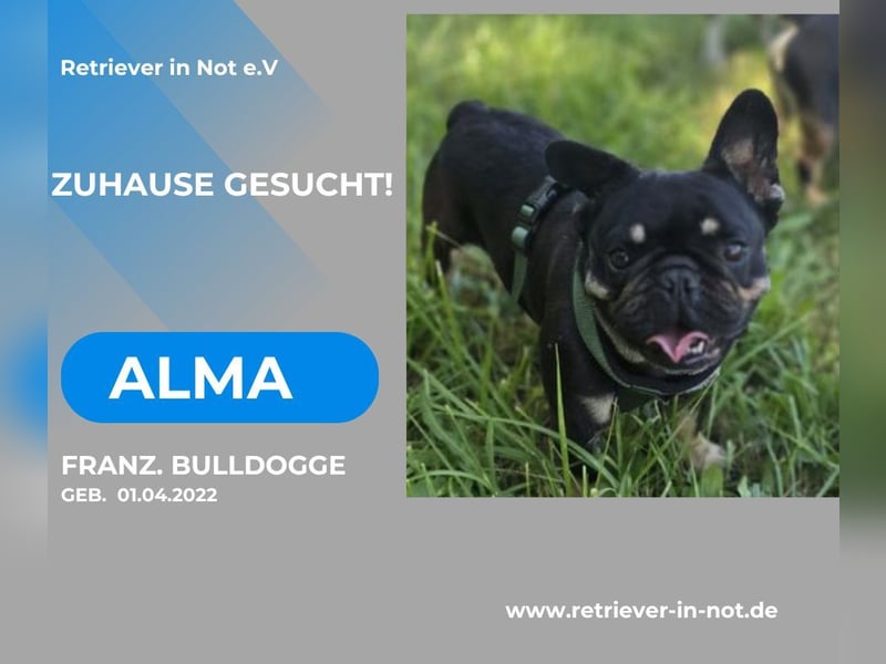 ALMA – auf der Suche nach ihrem Für-immer-Zuhause
