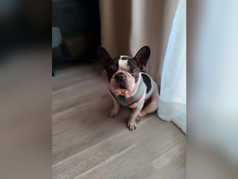 Luna