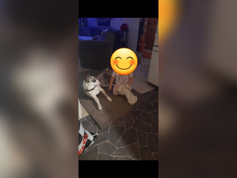 Liebevolles zuhause gesucht