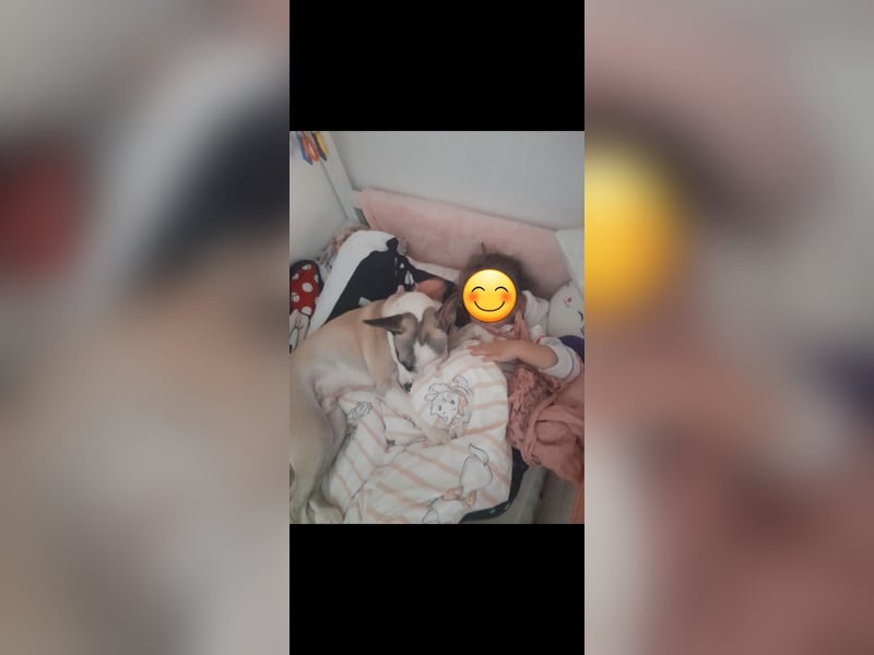 Liebevolles zuhause gesucht