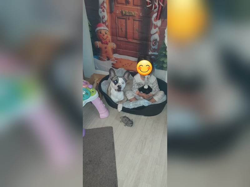 Liebevolles zuhause gesucht