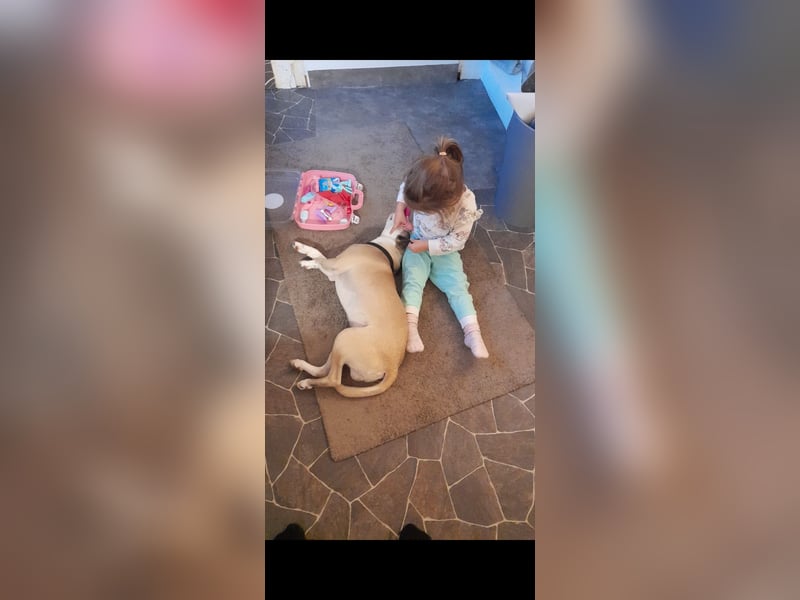 Liebevolles zuhause gesucht