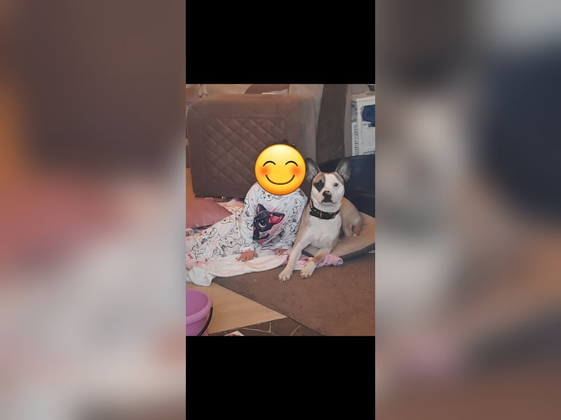 Liebevolles zuhause gesucht