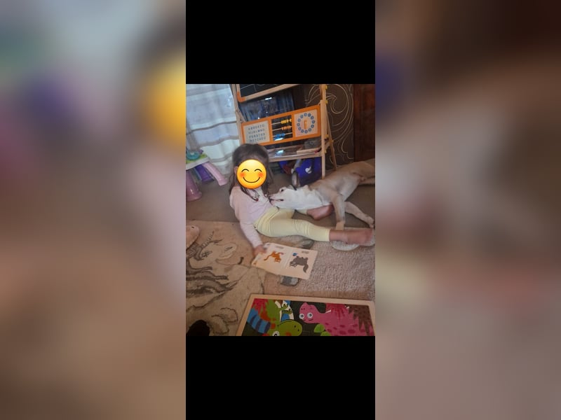 Liebevolles zuhause gesucht