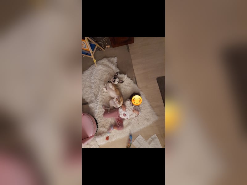 Liebevolles zuhause gesucht