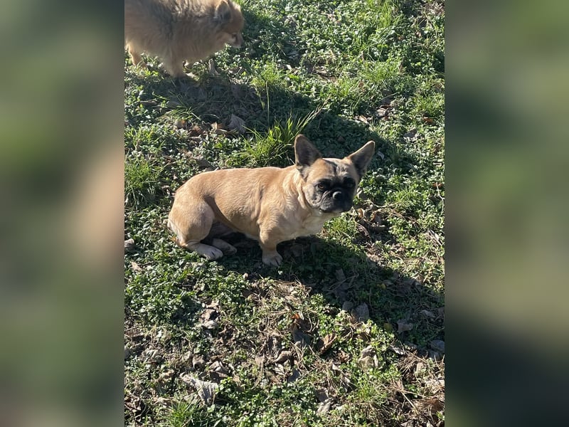 Elza - Sweet little Baby sucht ein Zuhause