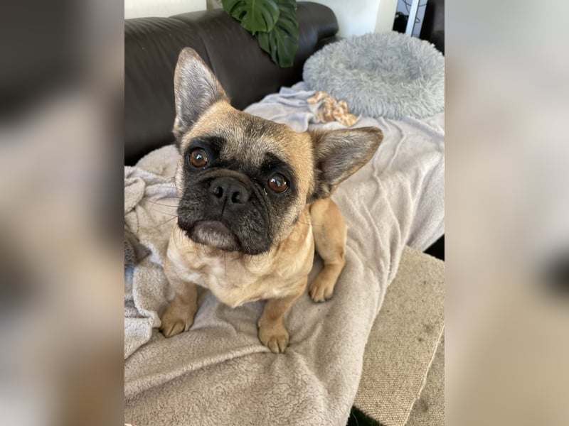 zauberhafte Elza sucht ihr Glück