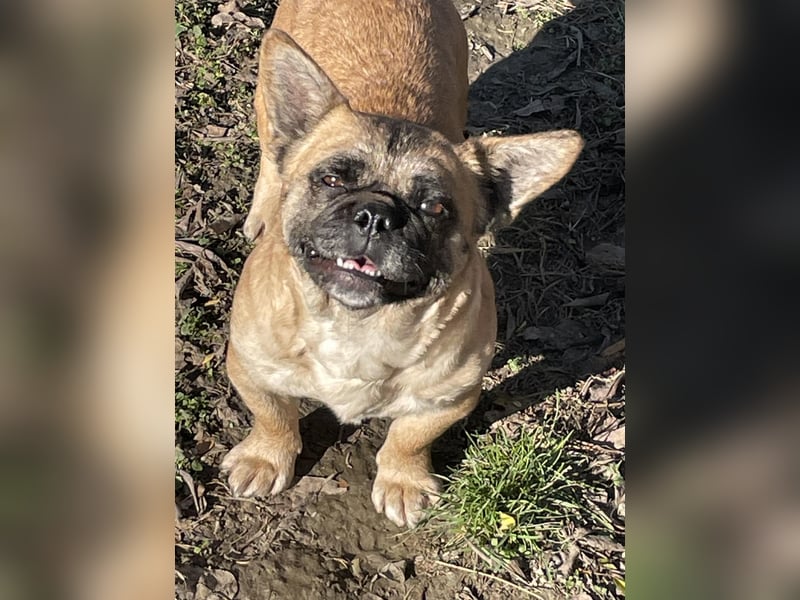 Elza - Sweet little Baby sucht ein Zuhause