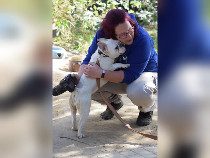 Bijou - gegenüber Menschen sehr freundlich und verschmust