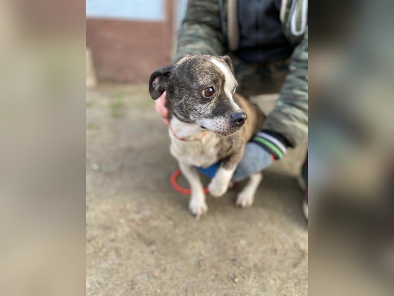 Tonic LM – Kleiner Kämpfer sucht sicheren Hafen