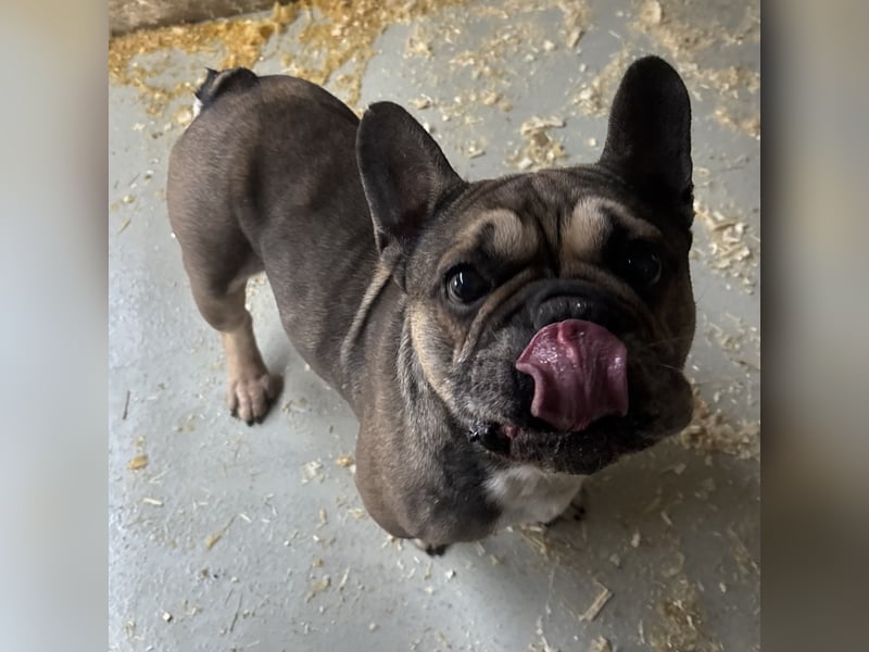 JACK MÖCHTE EINZELPRINZ SEIN