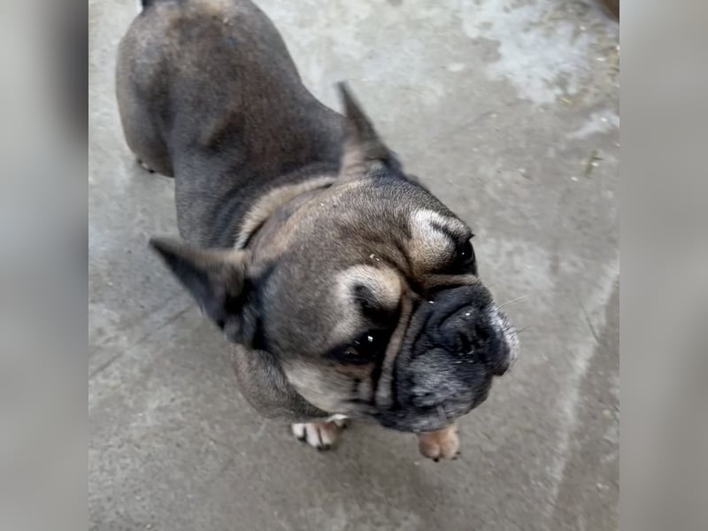 JACK MÖCHTE EINZELPRINZ SEIN