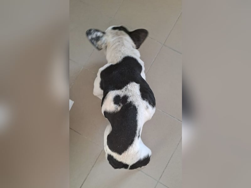 VINCENT KÄMPFT SICH ZURÜCK