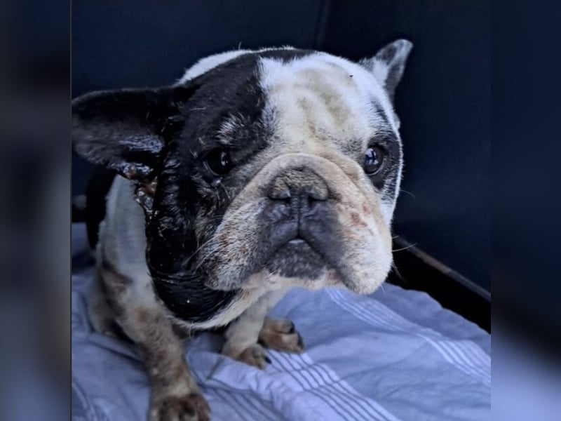 VINCENT KÄMPFT SICH ZURÜCK