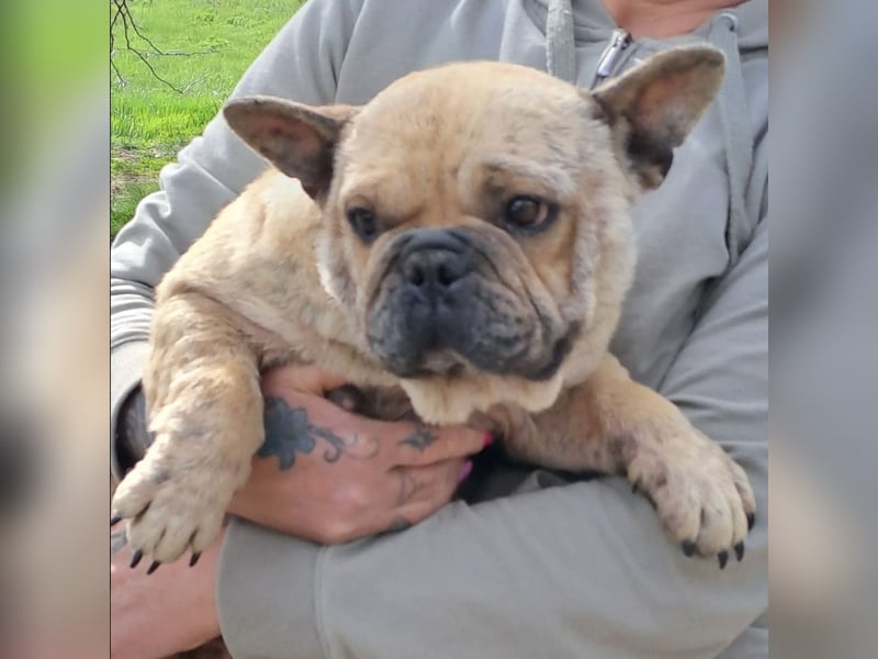 Lara sucht ihre Herzensmenschen