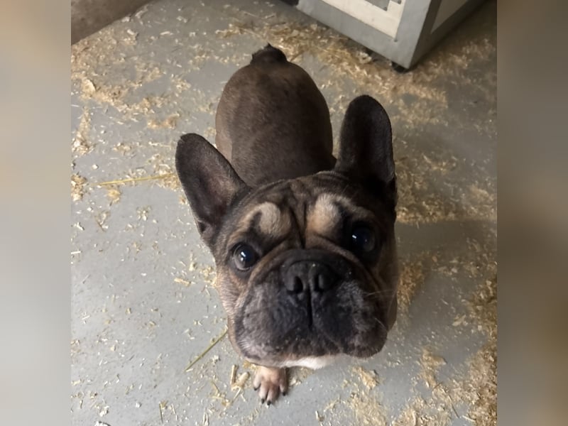 JACK MÖCHTE EINZELPRINZ SEIN