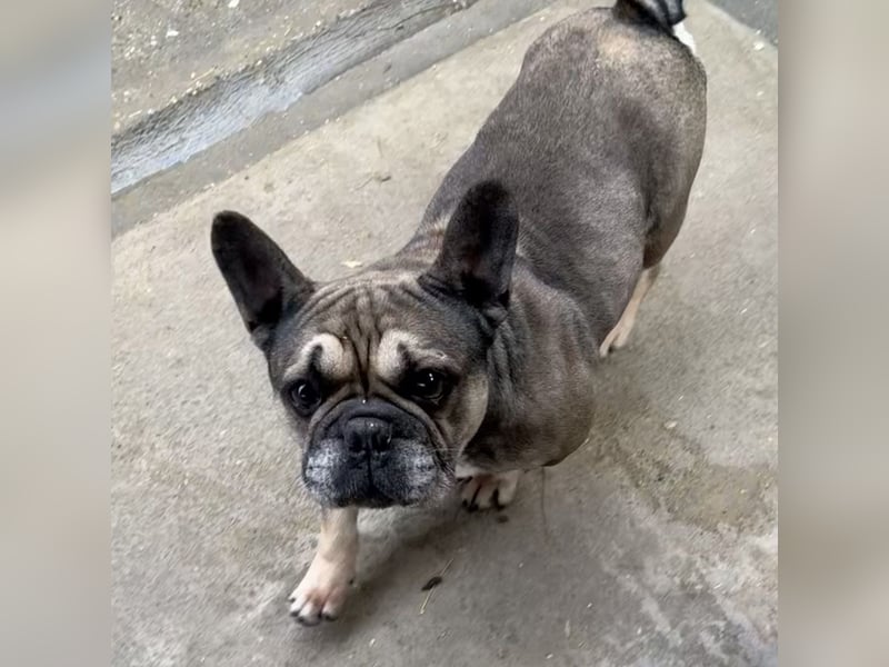 JACK MÖCHTE EINZELPRINZ SEIN