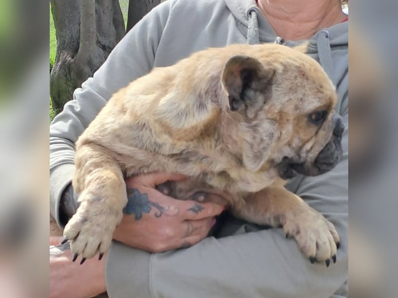 Lara sucht ihre Herzensmenschen