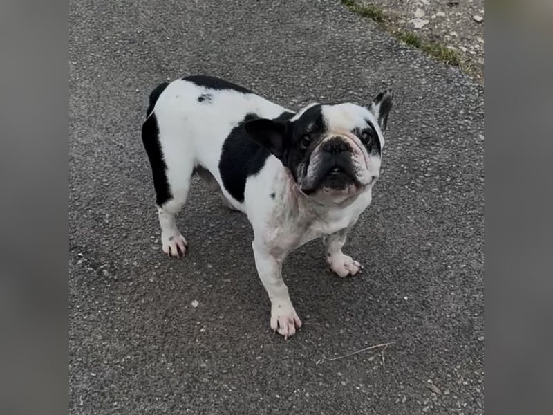 VINCENT KÄMPFT SICH ZURÜCK