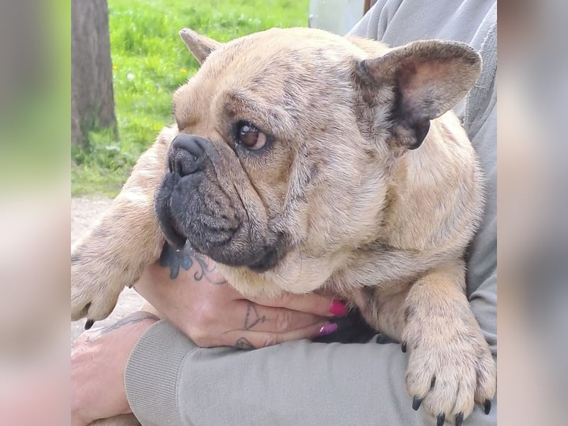 Lara sucht ihre Herzensmenschen