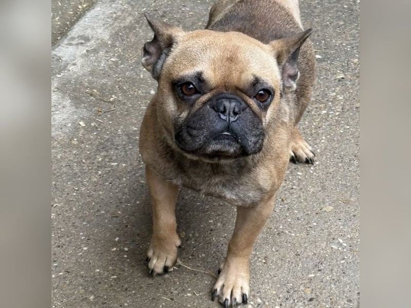 KÖKI HAT VIEL DURCHGEMACHT