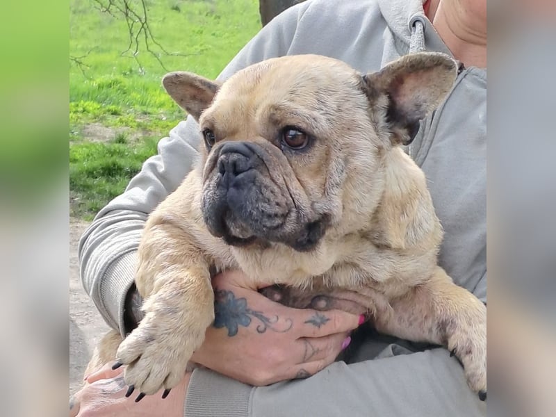 Lara sucht ihre Herzensmenschen