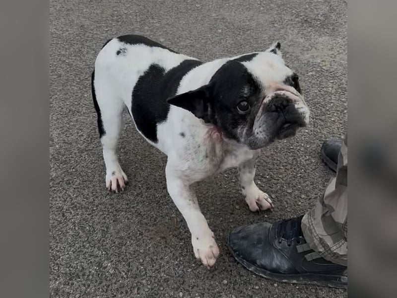 VINCENT KÄMPFT SICH ZURÜCK