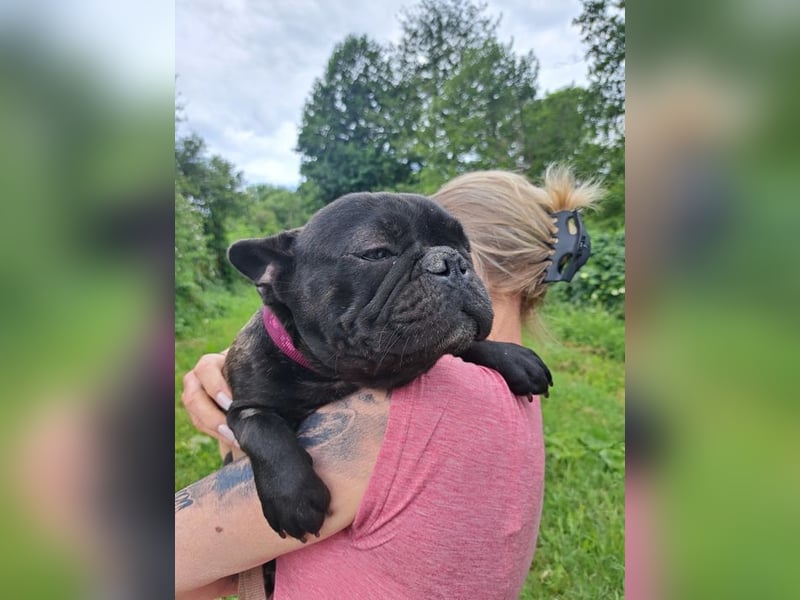 OTTO - das höfliche und liebe Männlein ist ein fröhlicher und treuer Begleiter!