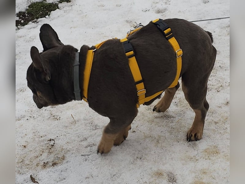 Ilma zeigt sich sehr kooperativ