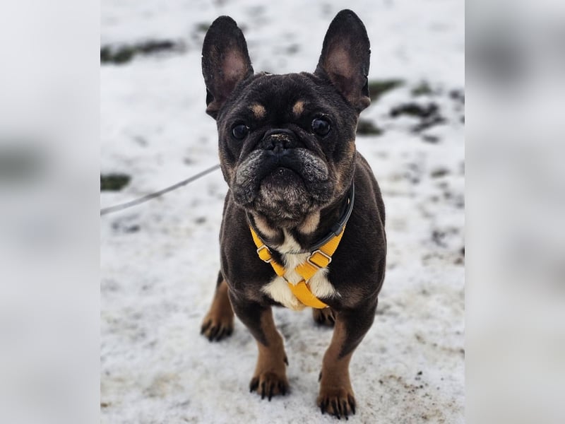 Ilma zeigt sich sehr kooperativ