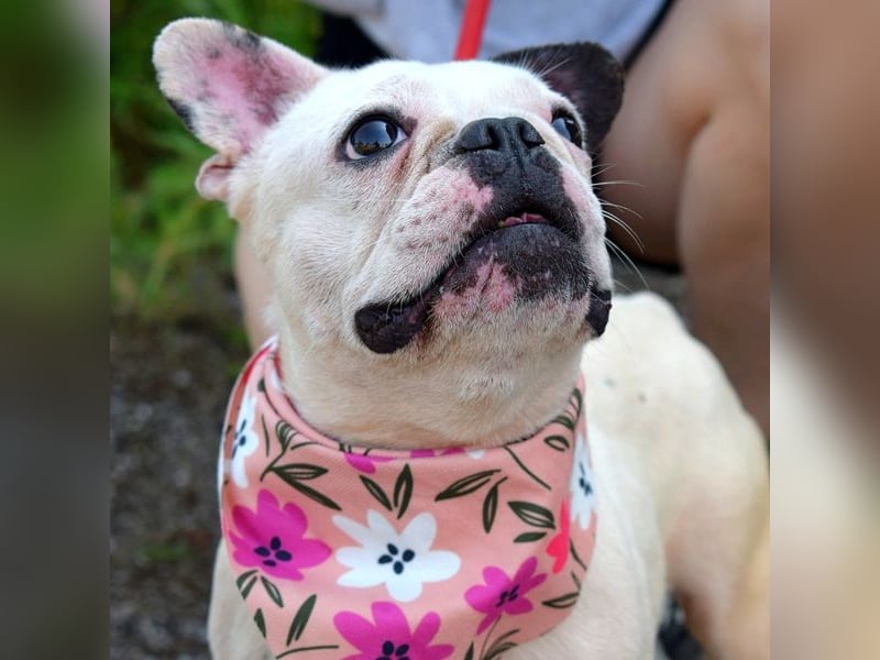 Ginny sucht liebe und geduldige Menschen