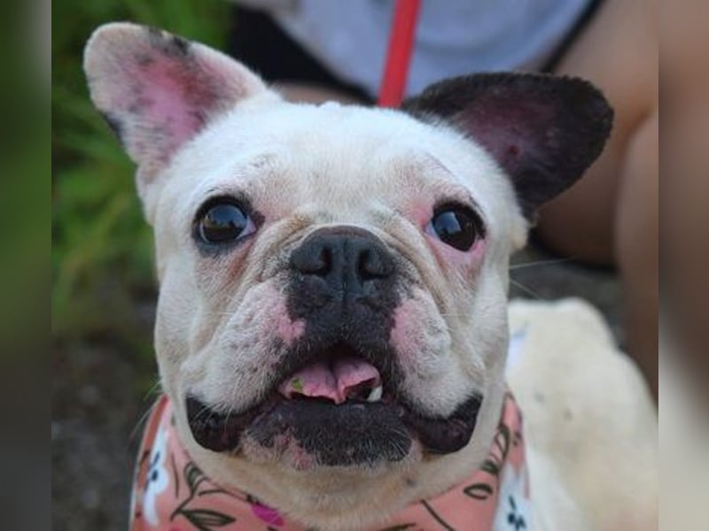 Ginny sucht liebe und geduldige Menschen
