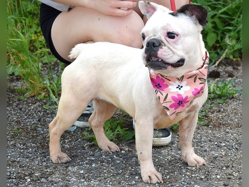 Ginny sucht liebe und geduldige Menschen