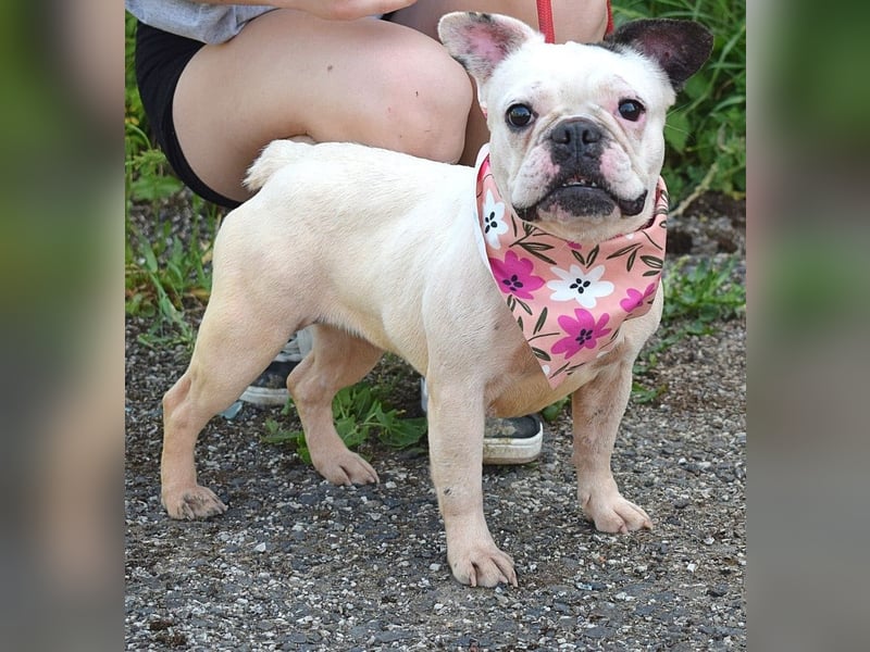 Ginny sucht liebe und geduldige Menschen