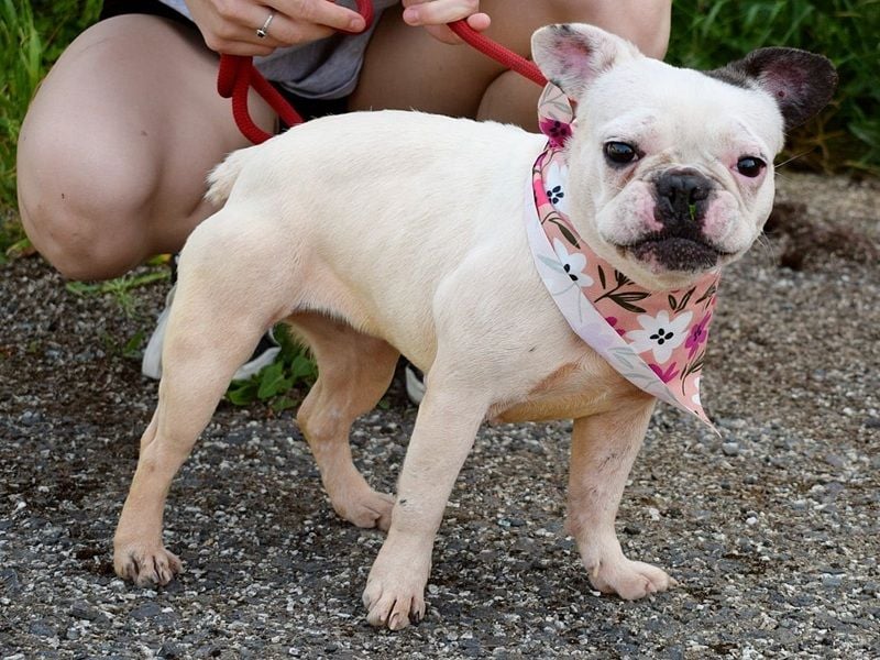 Ginny sucht liebe und geduldige Menschen