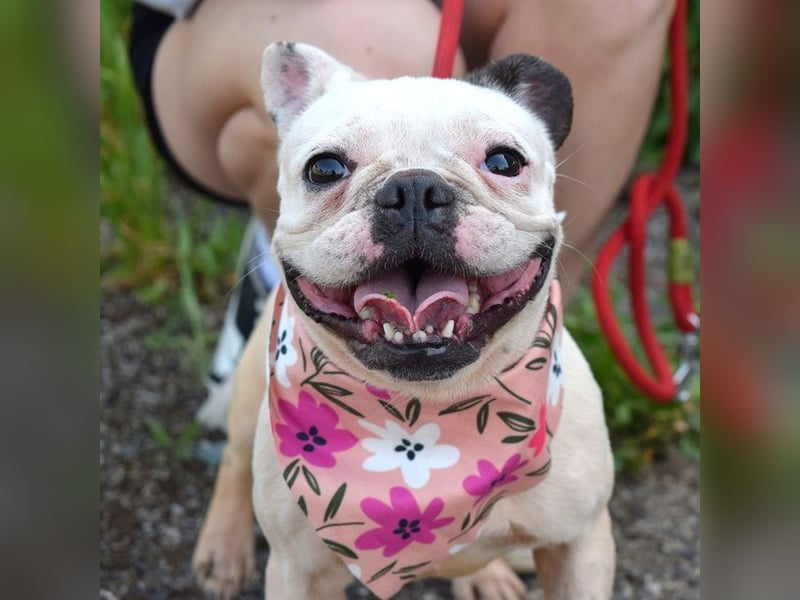 Ginny sucht liebe und geduldige Menschen