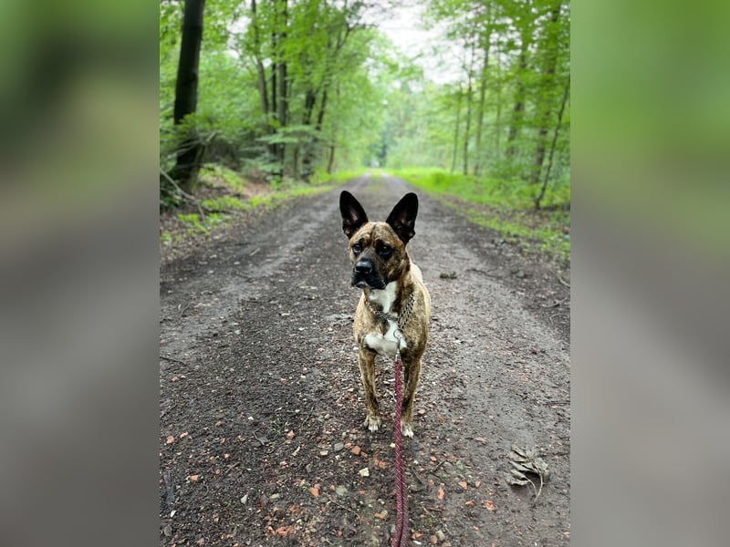 Snickers sucht ein neues Zuhause!